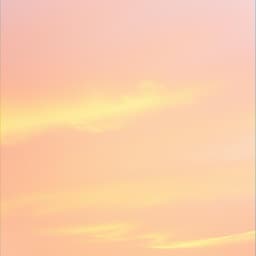 the skys
